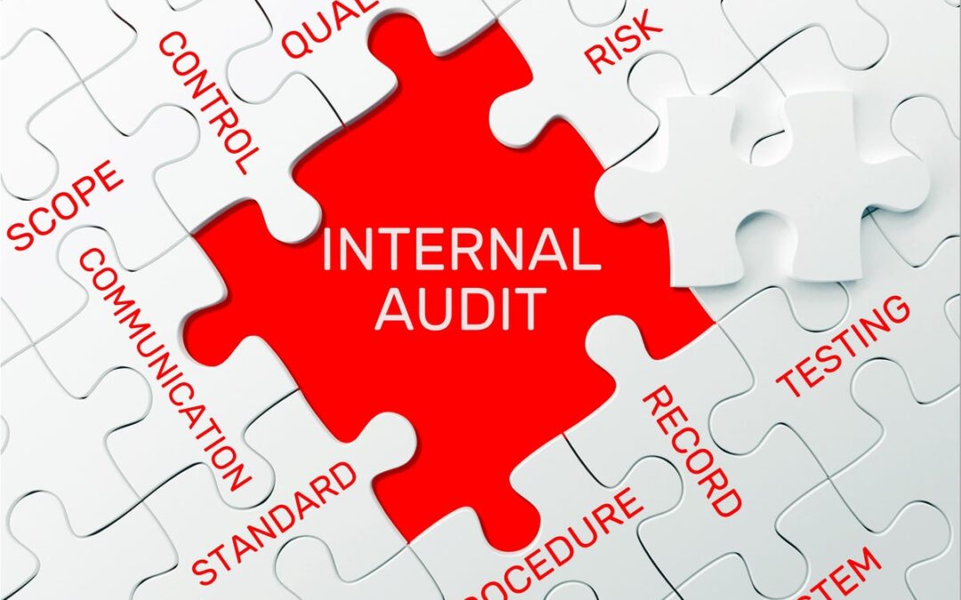 How The Behavioral Risk Team Is Innovating The Internal Audit Function At Natwest